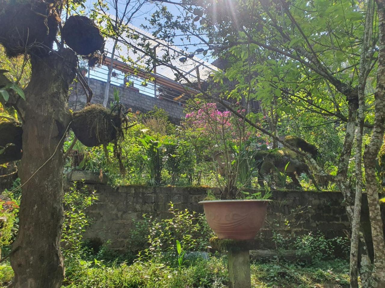 Sapa Garden Bungalow 外观 照片