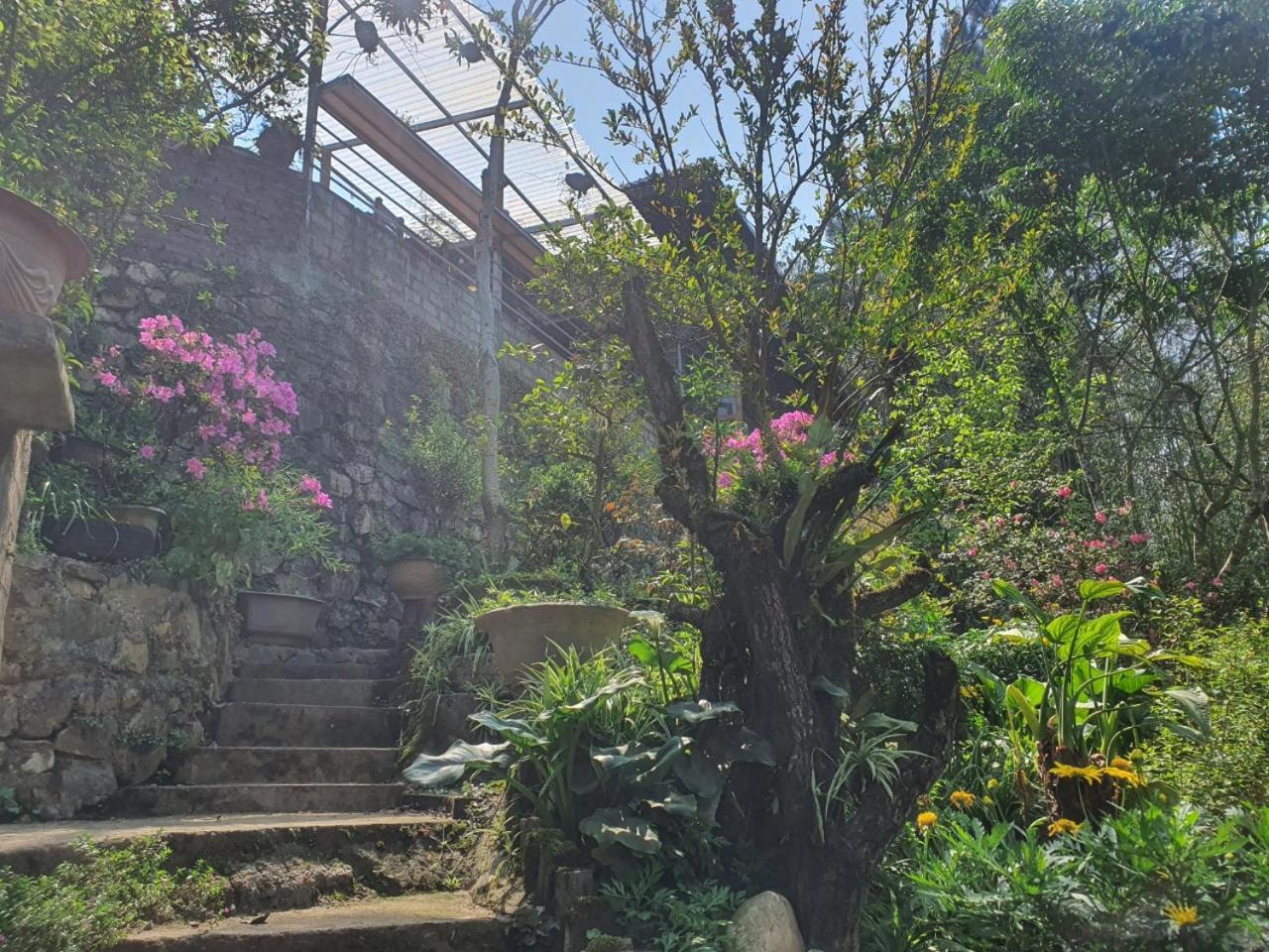 Sapa Garden Bungalow 外观 照片