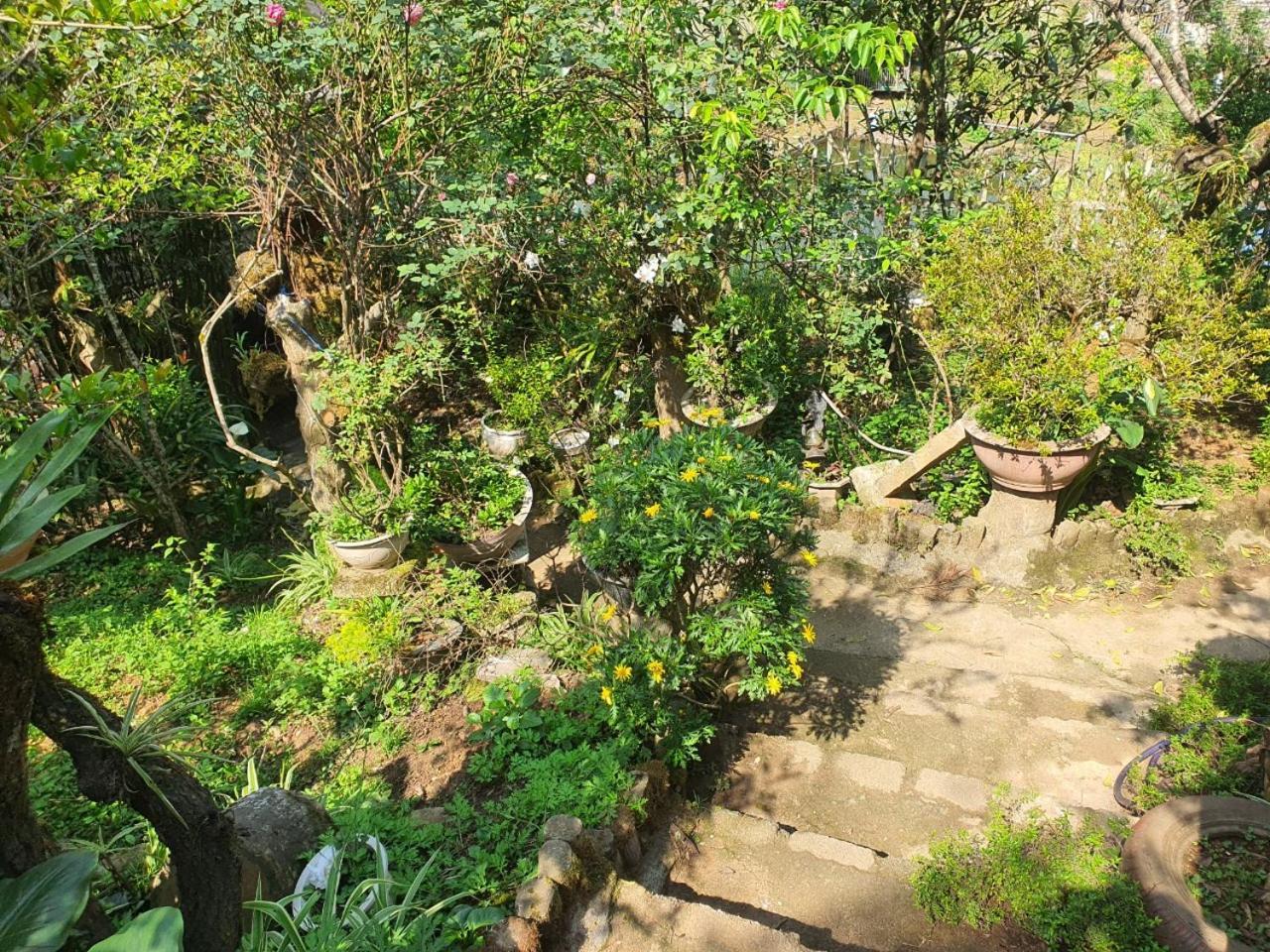 Sapa Garden Bungalow 外观 照片